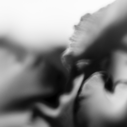 Tagesworkshops Sacred Feminine