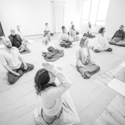 Meditations Gatherings